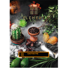 ELEMENT EL Cactus Fig (25g.)