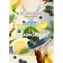 V ELEMENT Rainmonade (25g.)