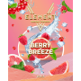 V ELEMENT Berry Breeze (25g.)