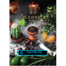 ELEMENT WL Cactus Fig (200g.)